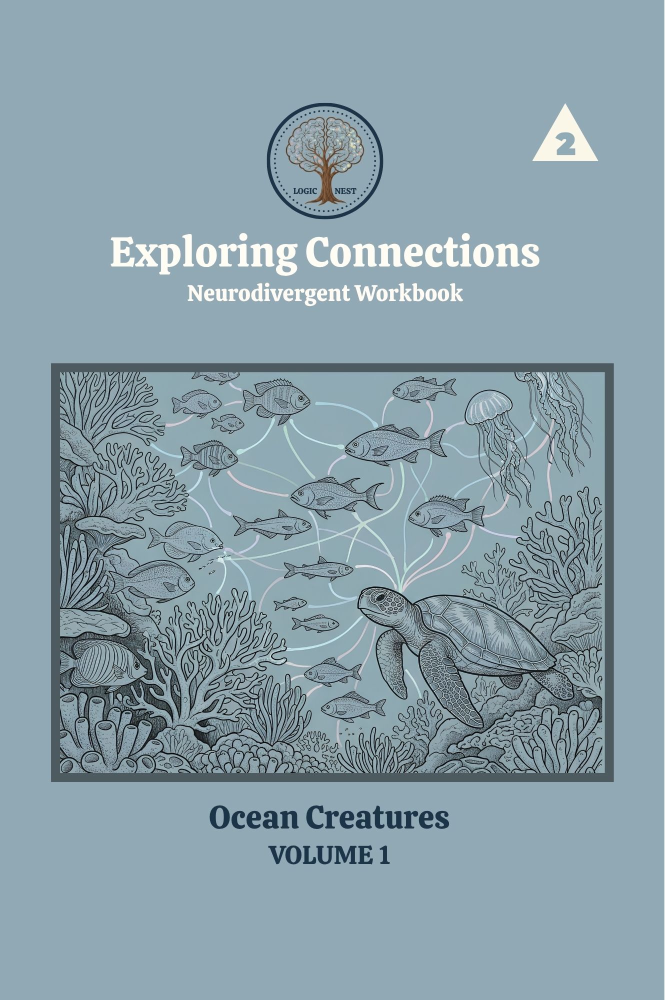 Exploring Connections